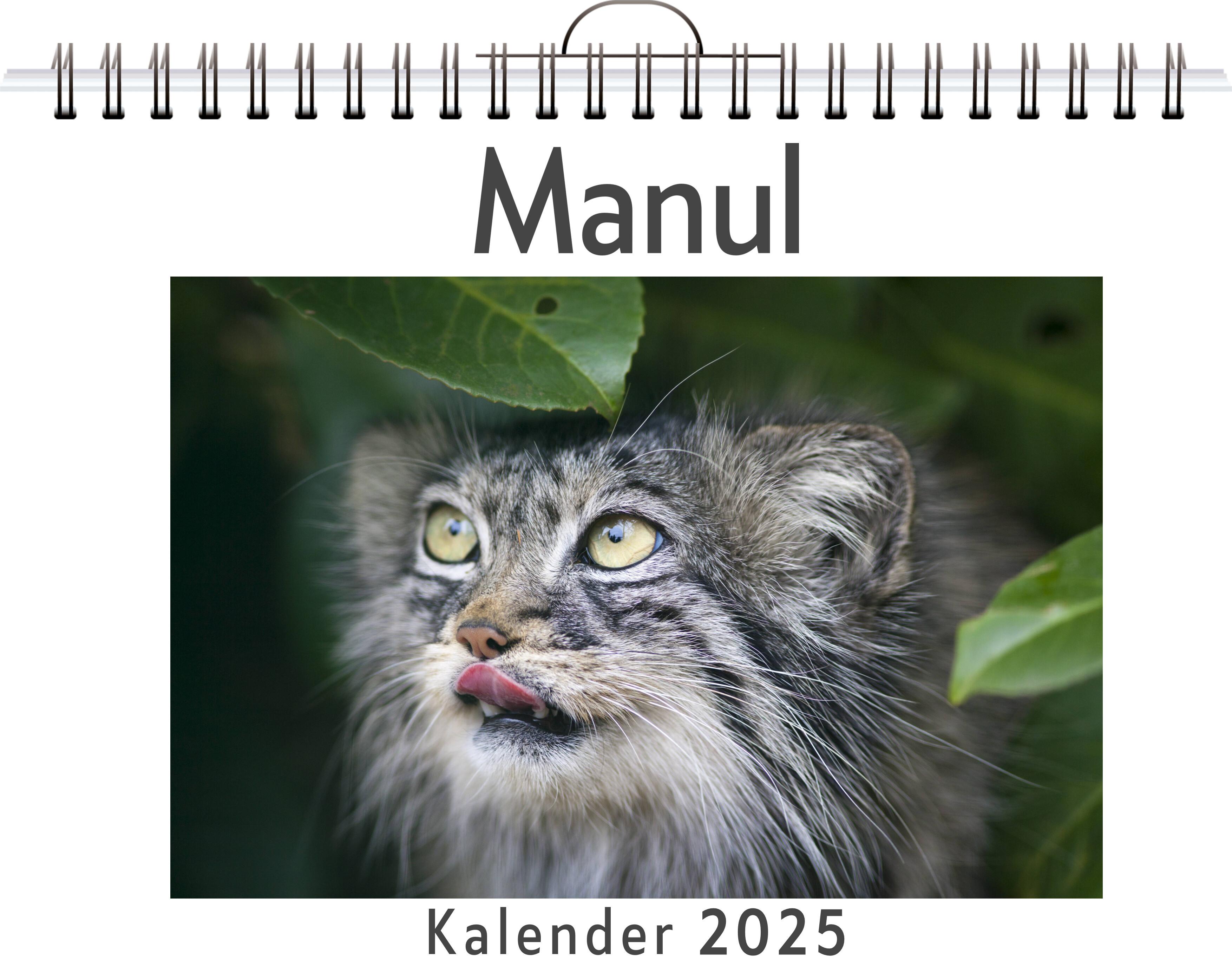 Manul