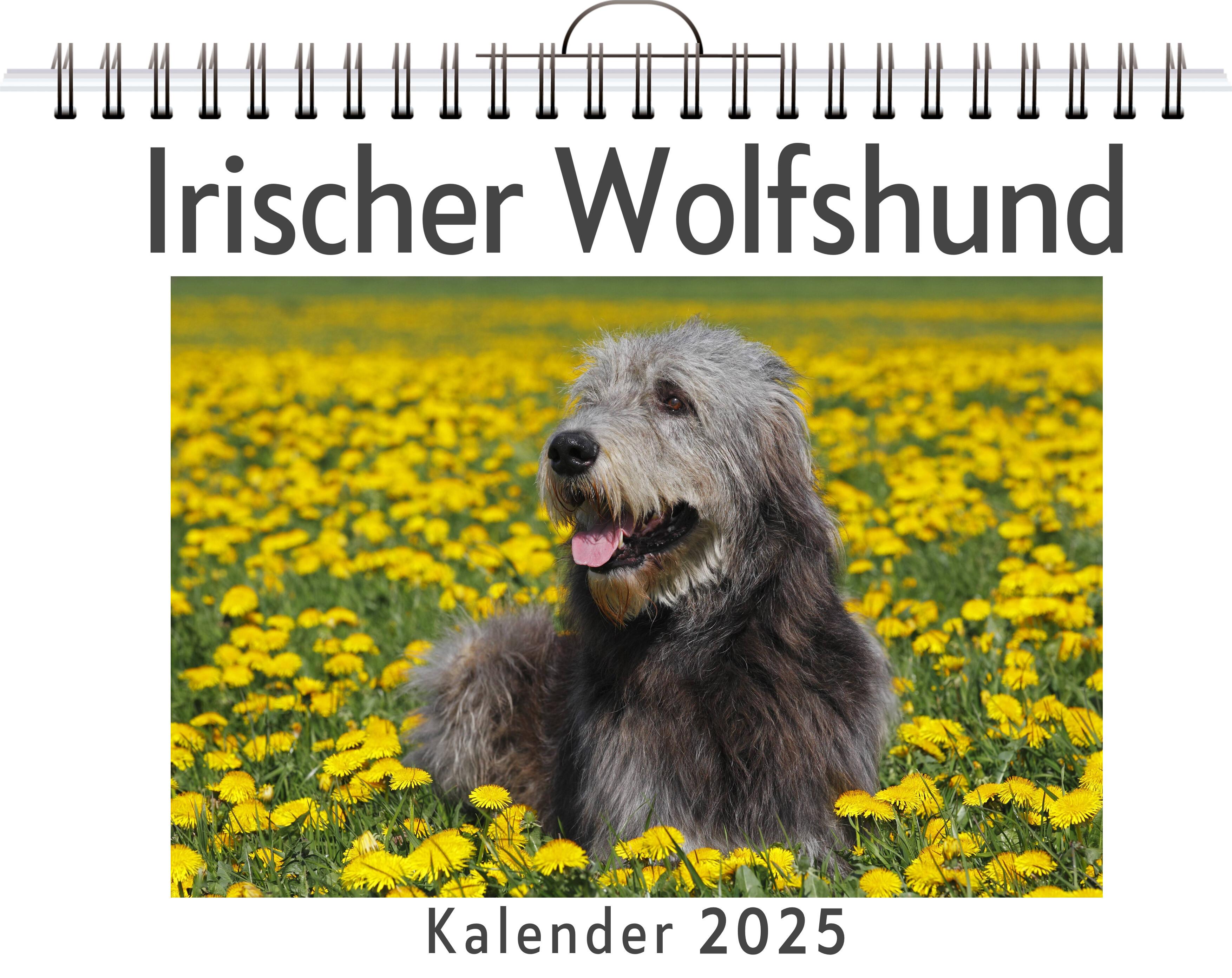 Irischer Wolfshund