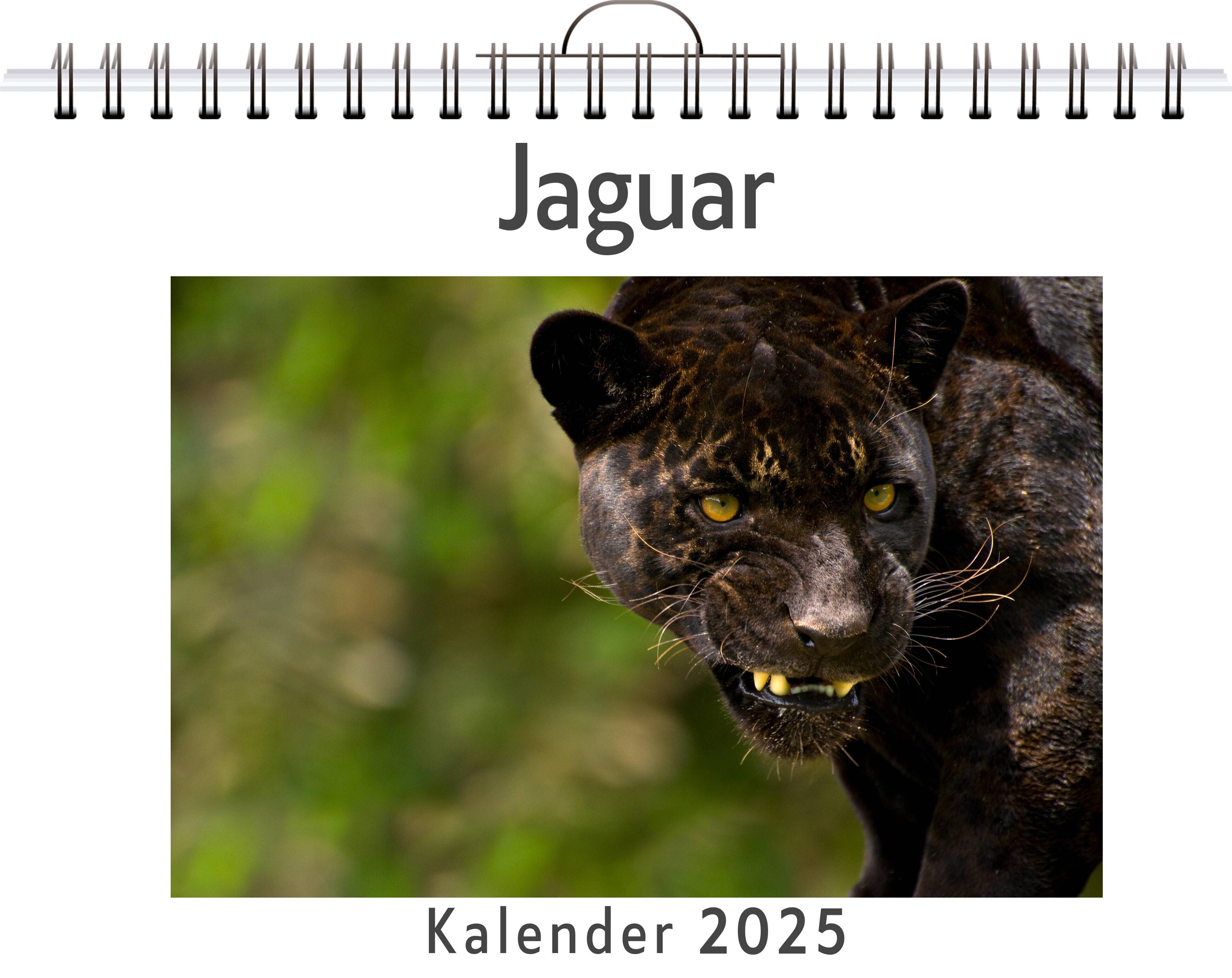 Jaguar