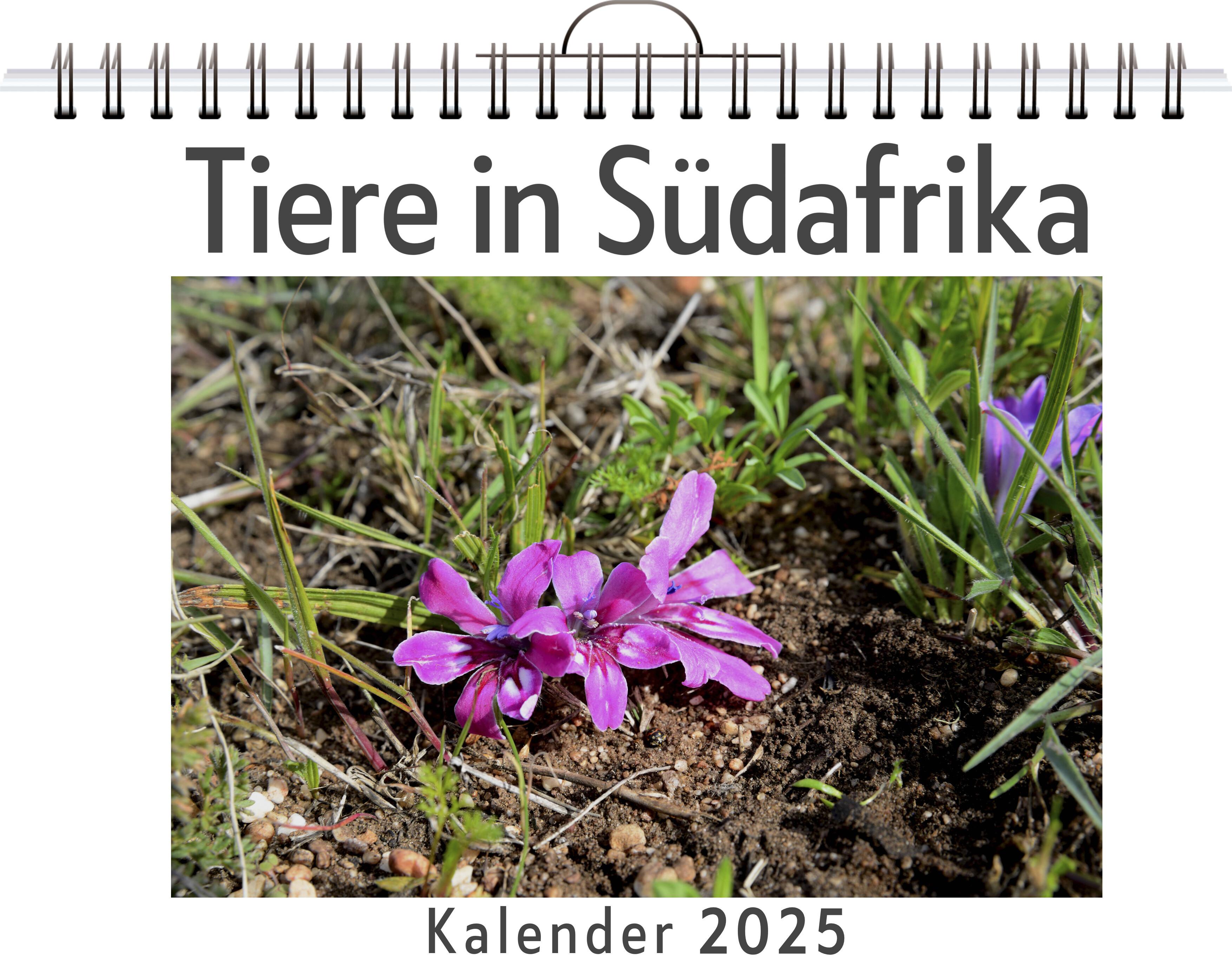 Tiere in Südafrika