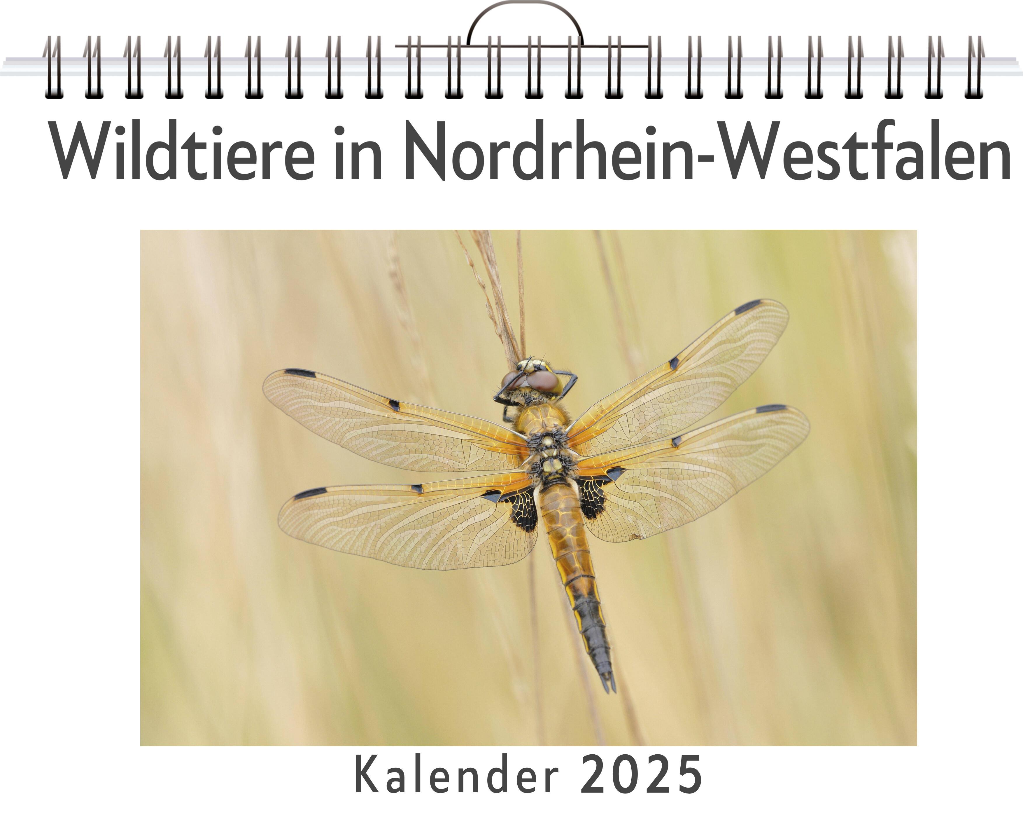 Wildtiere in Nordrhein-Westfalen