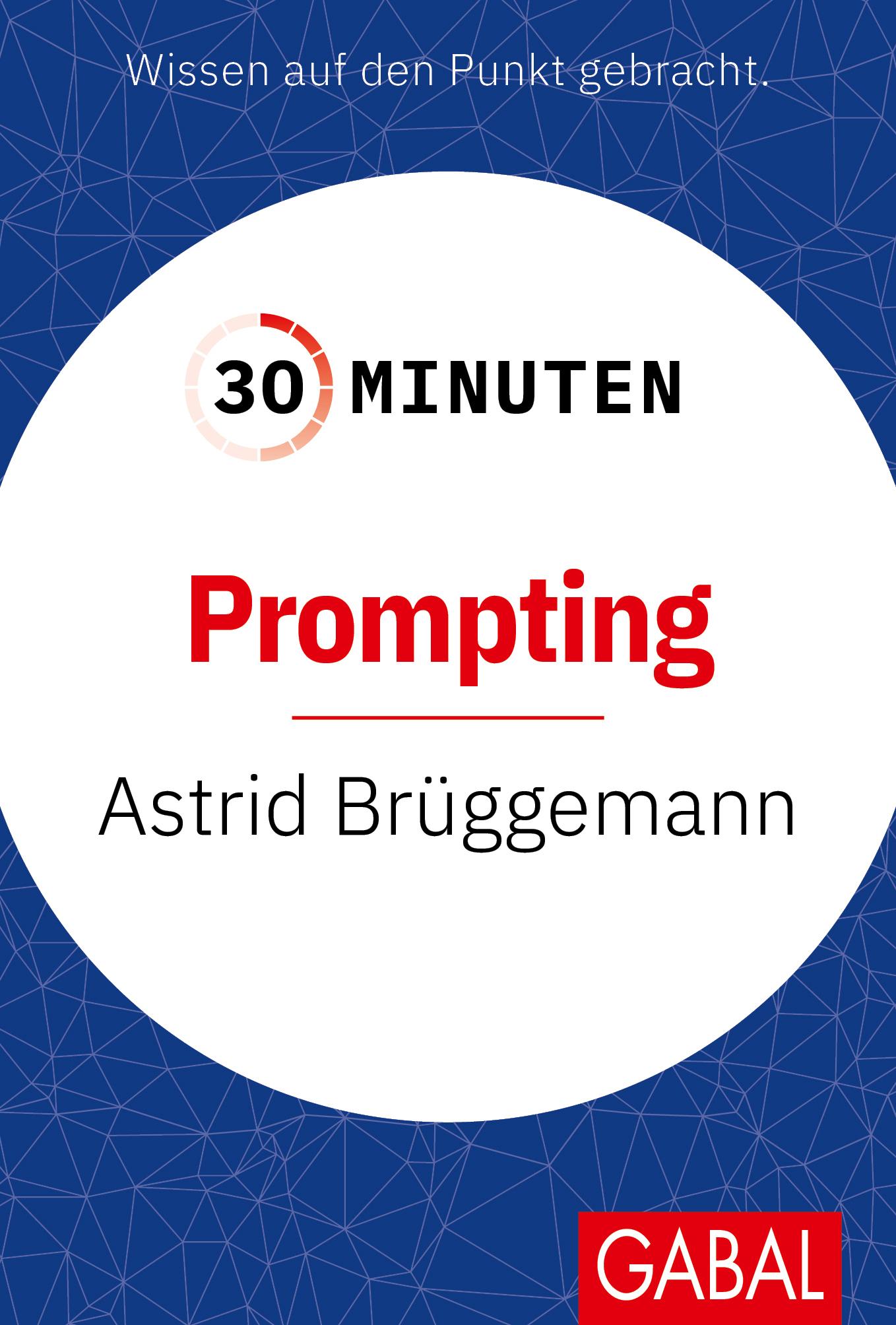 30 Minuten Prompting