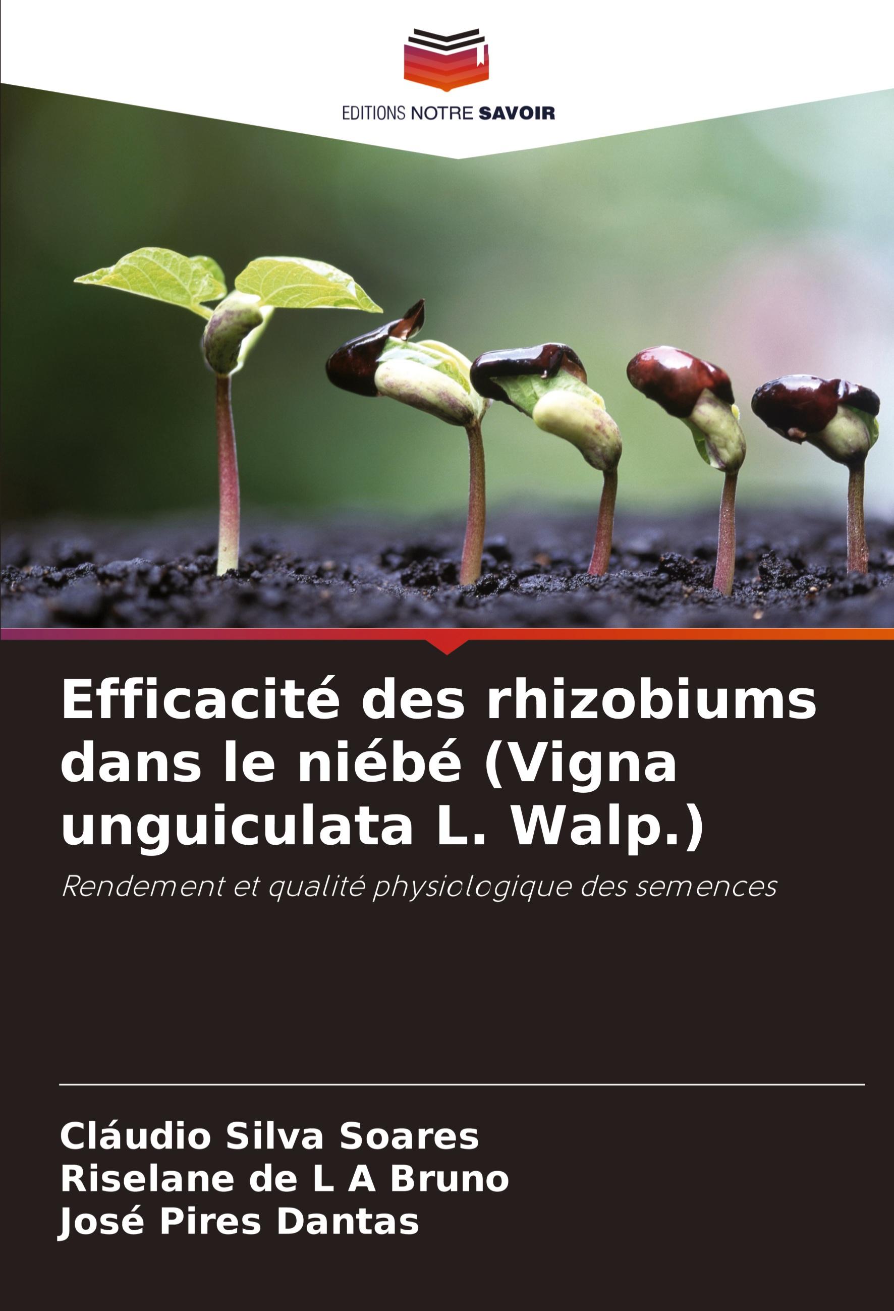 Efficacité des rhizobiums dans le niébé (Vigna unguiculata L. Walp.)