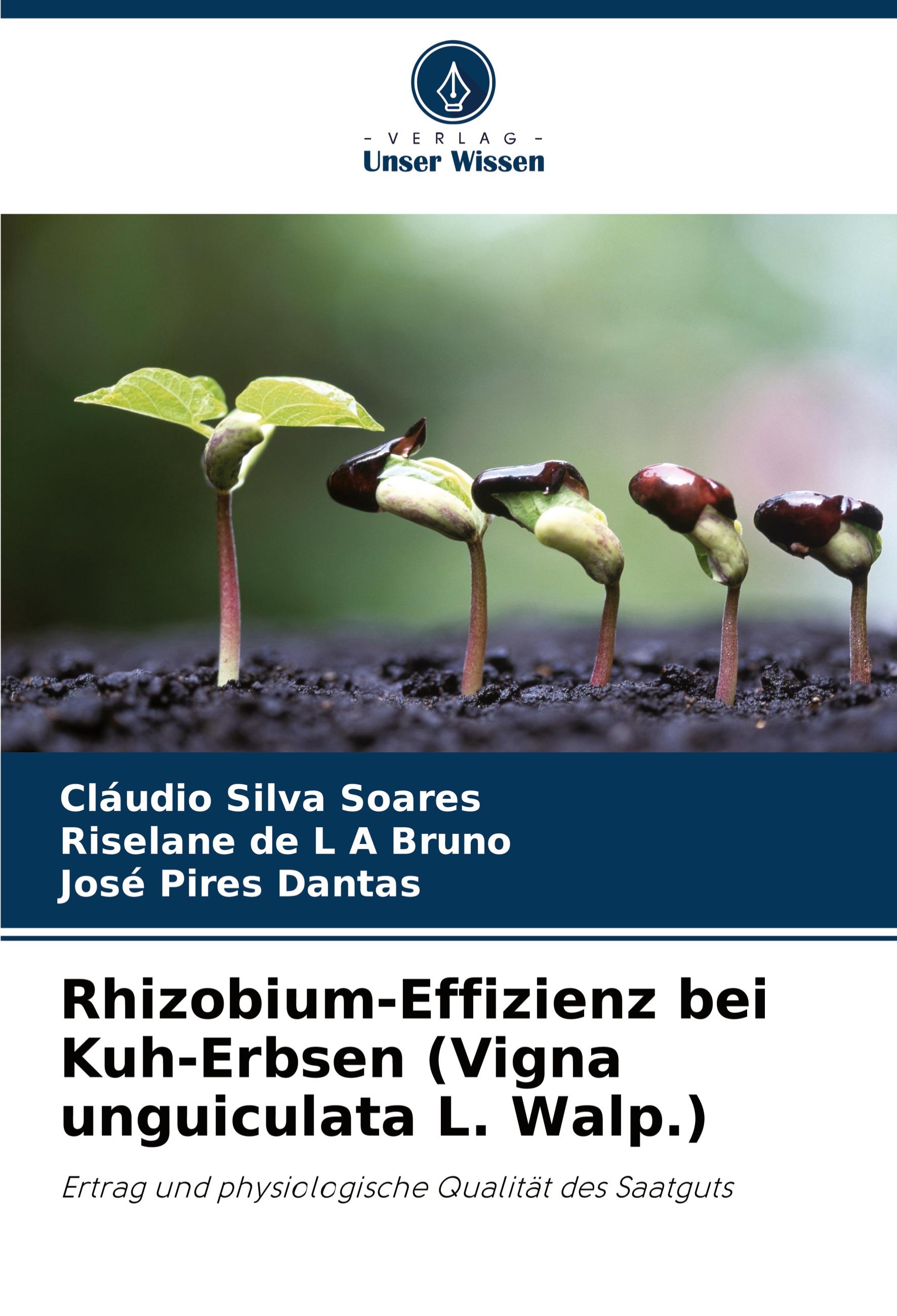 Rhizobium-Effizienz bei Kuh-Erbsen (Vigna unguiculata L. Walp.)