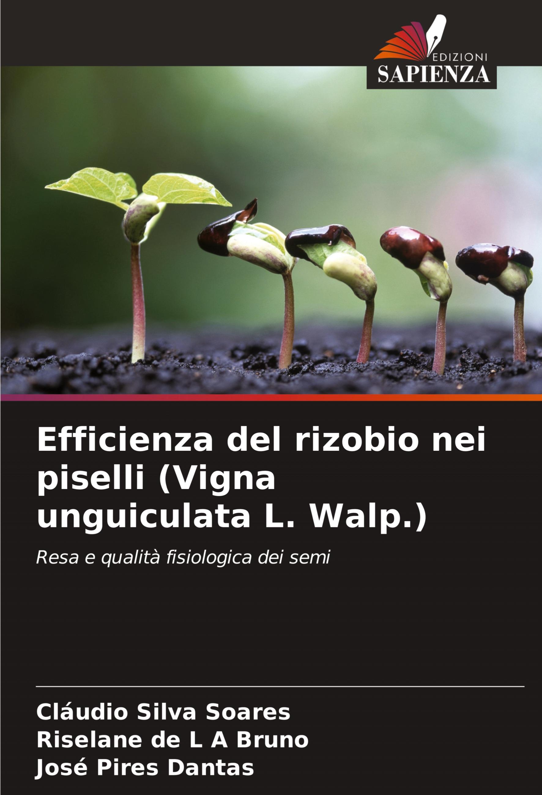 Efficienza del rizobio nei piselli (Vigna unguiculata L. Walp.)