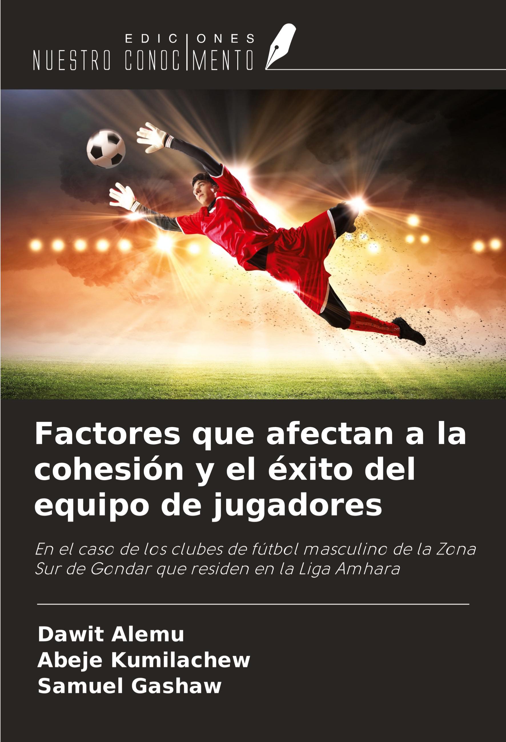 Factores que afectan a la cohesión y el éxito del equipo de jugadores