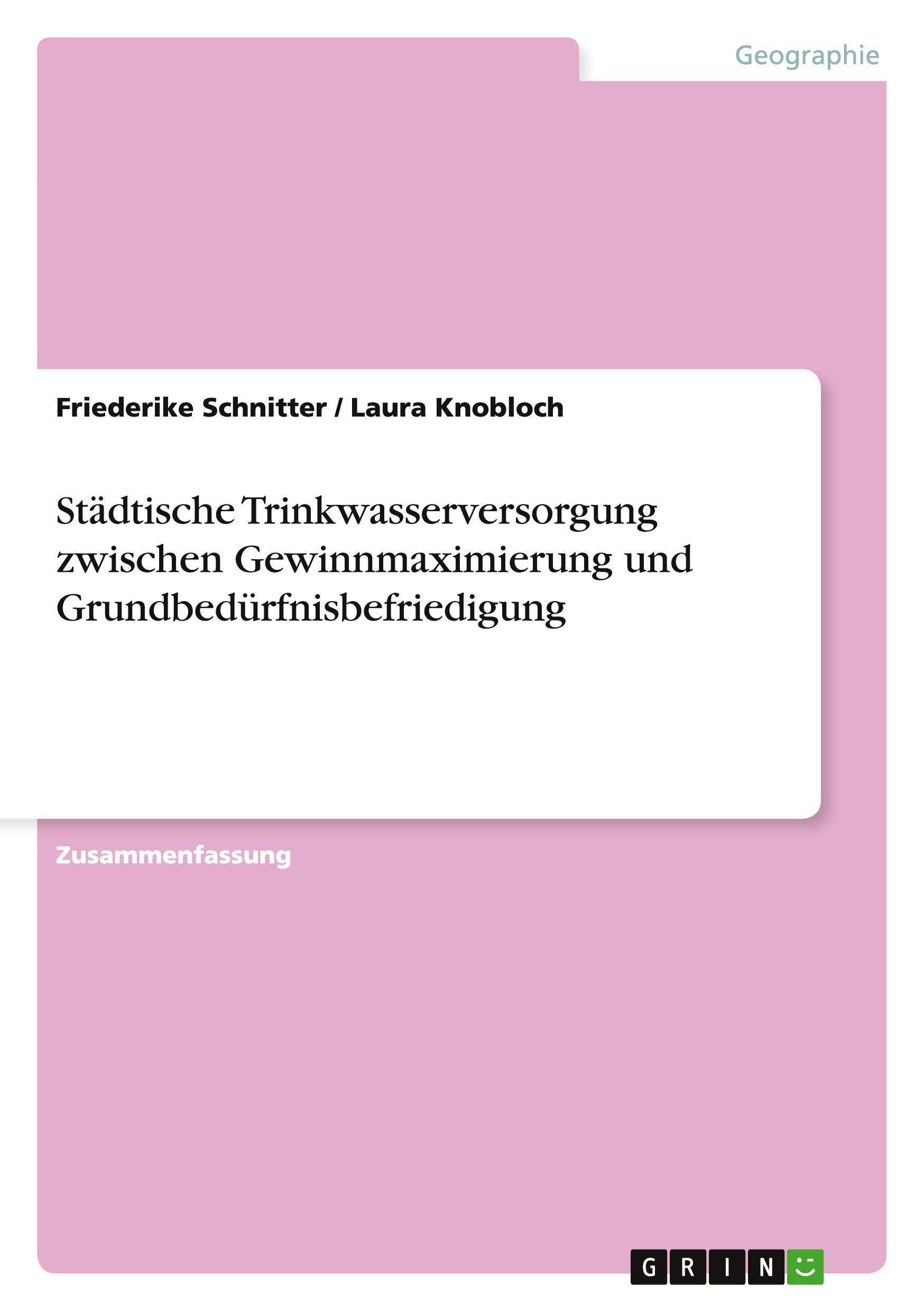 Städtische Trinkwasserversorgung zwischen Gewinnmaximierung und Grundbedürfnisbefriedigung