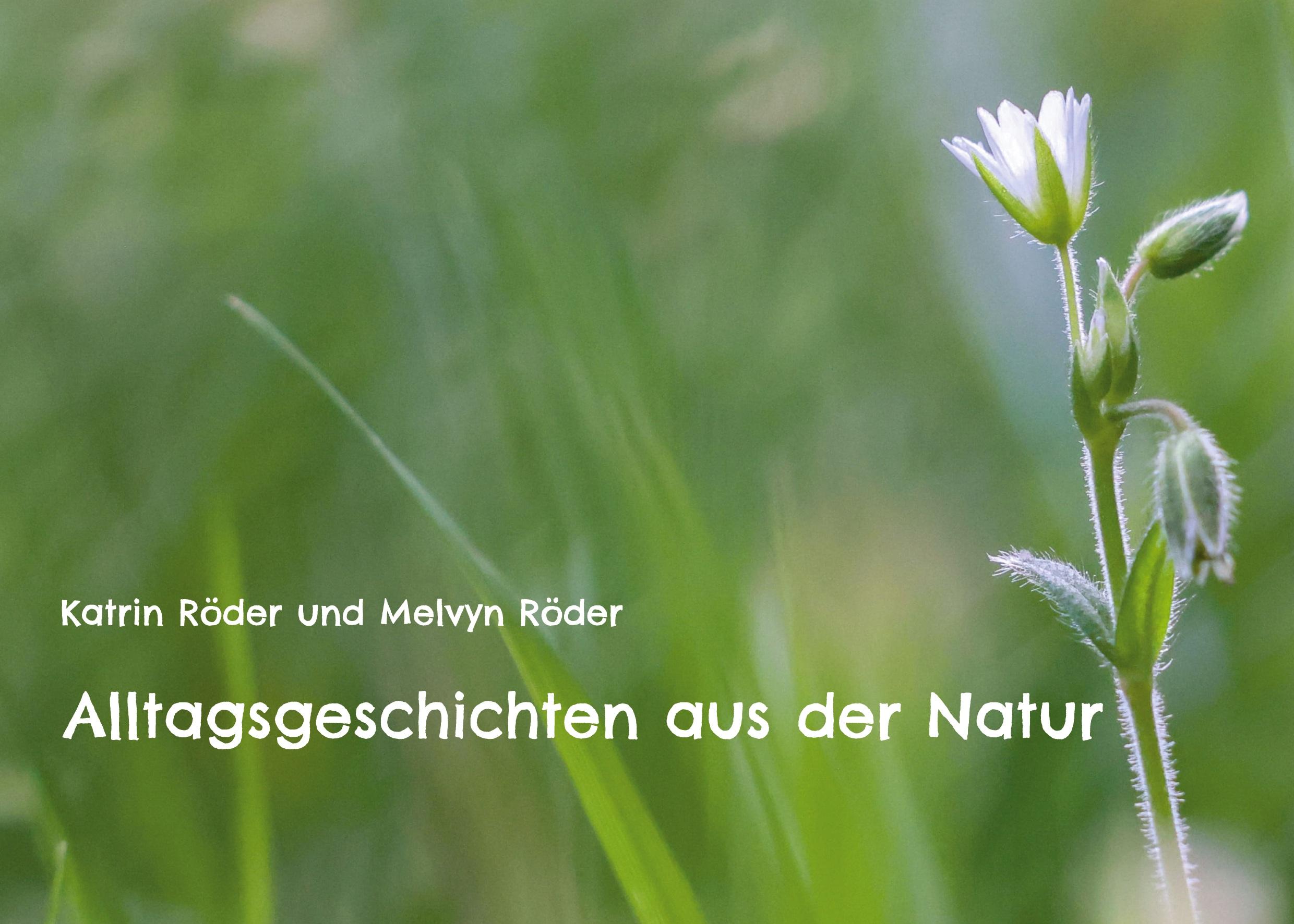 Alltagsgeschichten aus der Natur