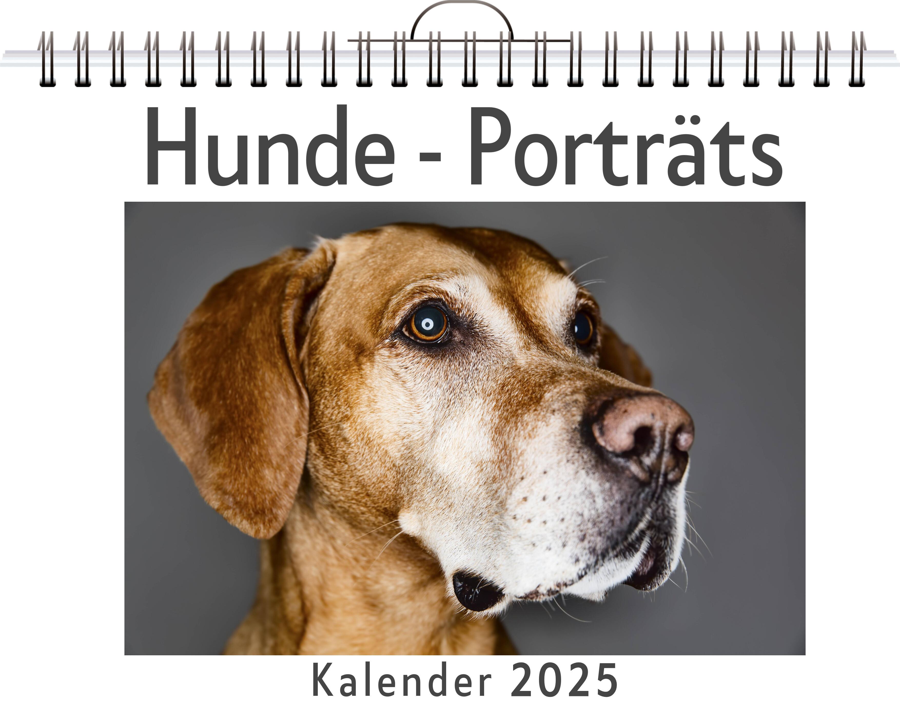 Hunde - Porträts - (Wandkalender 2025, Kalender DIN A4 quer, Monatskalender im Querformat mit Kalendarium, das perfekte Geschenk)