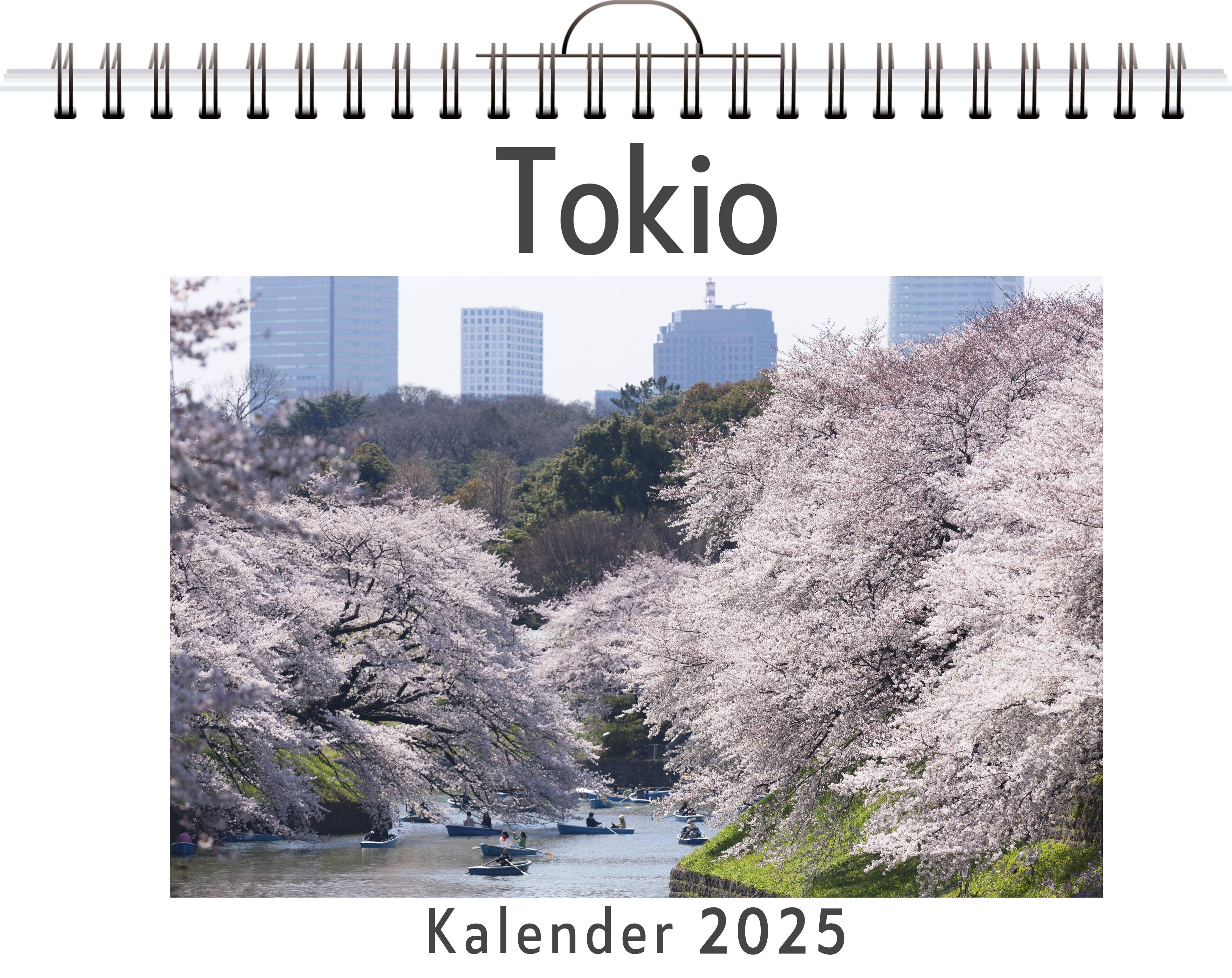 Tokio - (Wandkalender 2025, Kalender DIN A4 quer, Monatskalender im Querformat mit Kalendarium, das perfekte Geschenk)