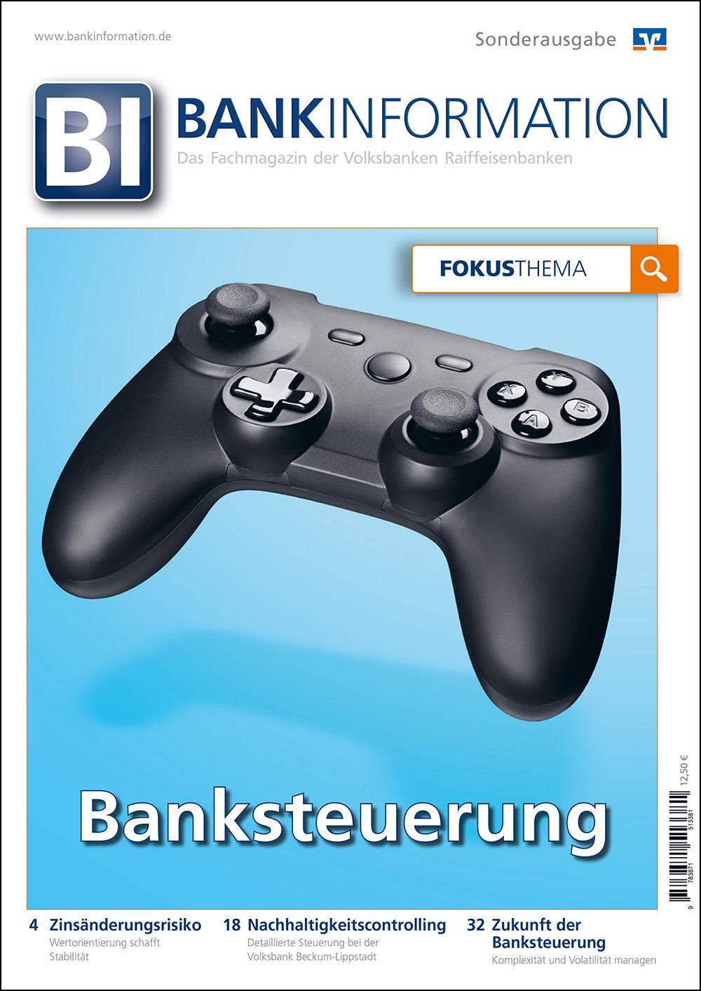 BankInformation, Fokus-Thema: Banksteuerung