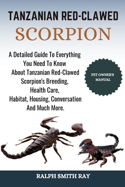 Tanzanian Red-Clawed Scorpion