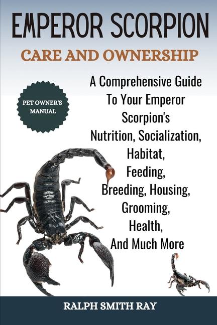 Emperor Scorpion Care and Ownership