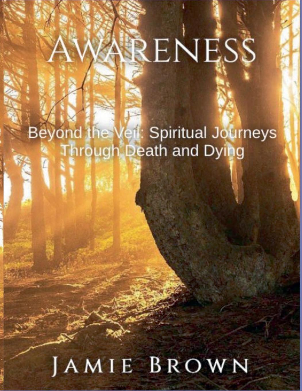 Awareness. Beyond The Veil