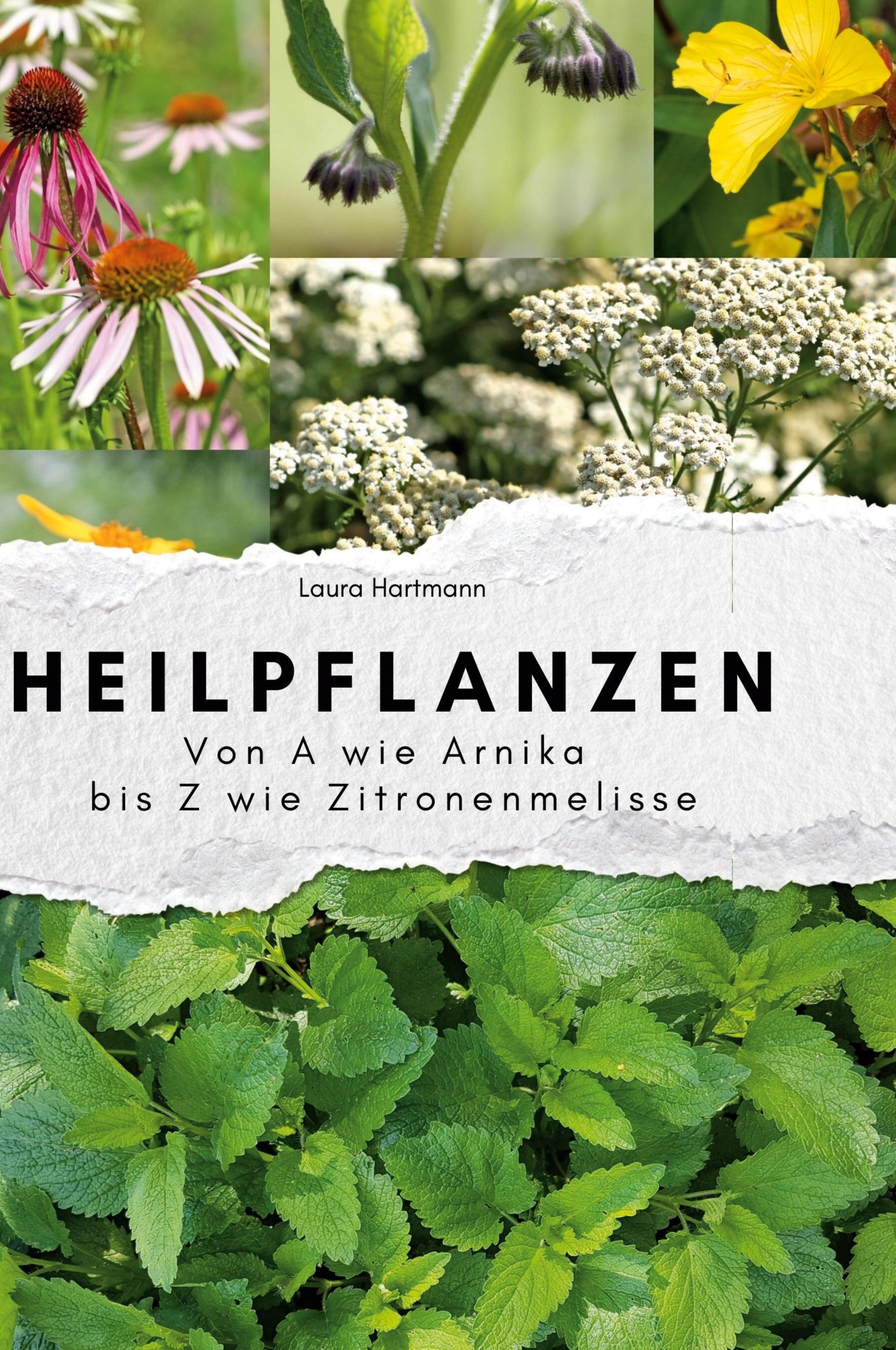 Heilpflanzen