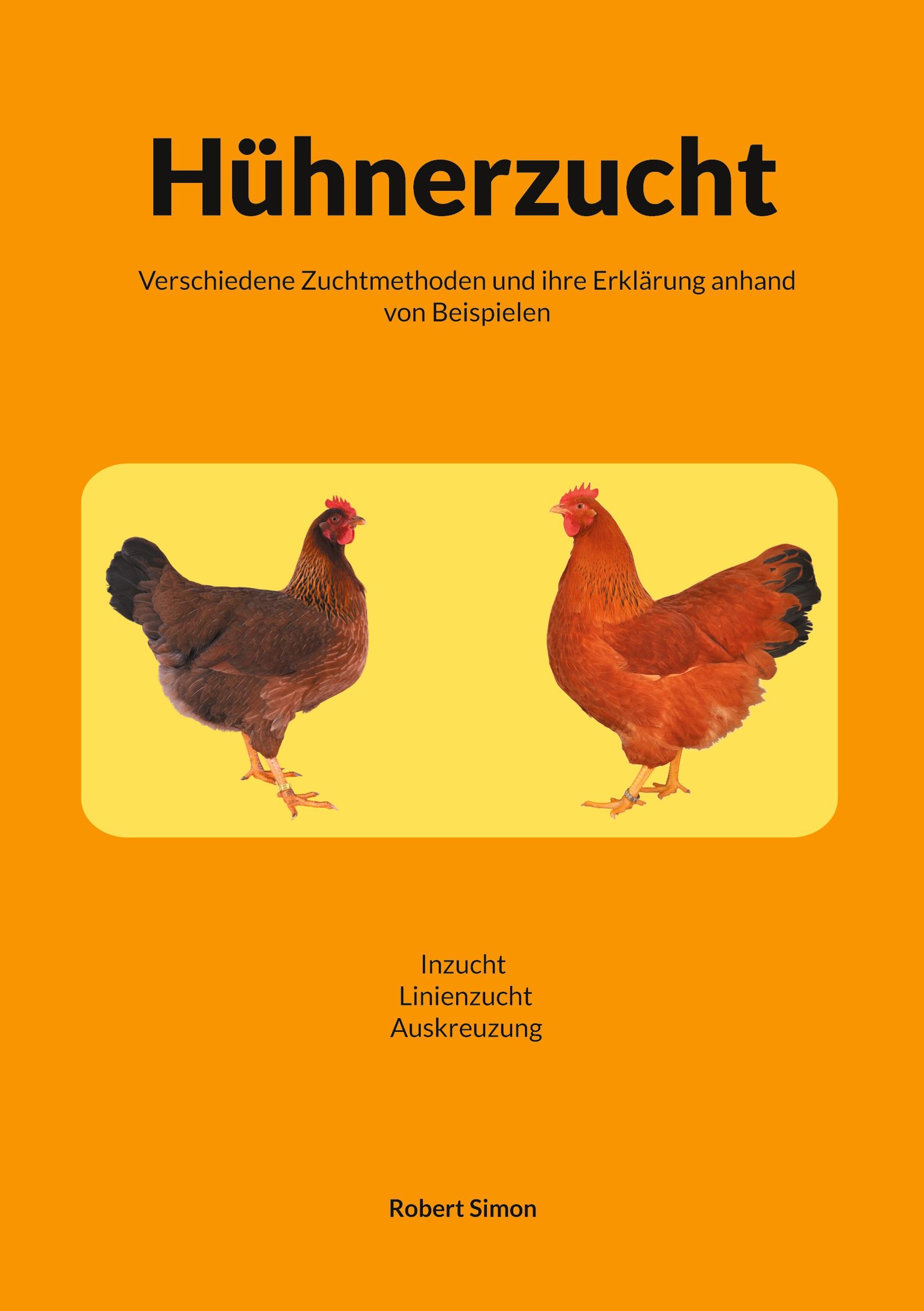 Hühnerzucht