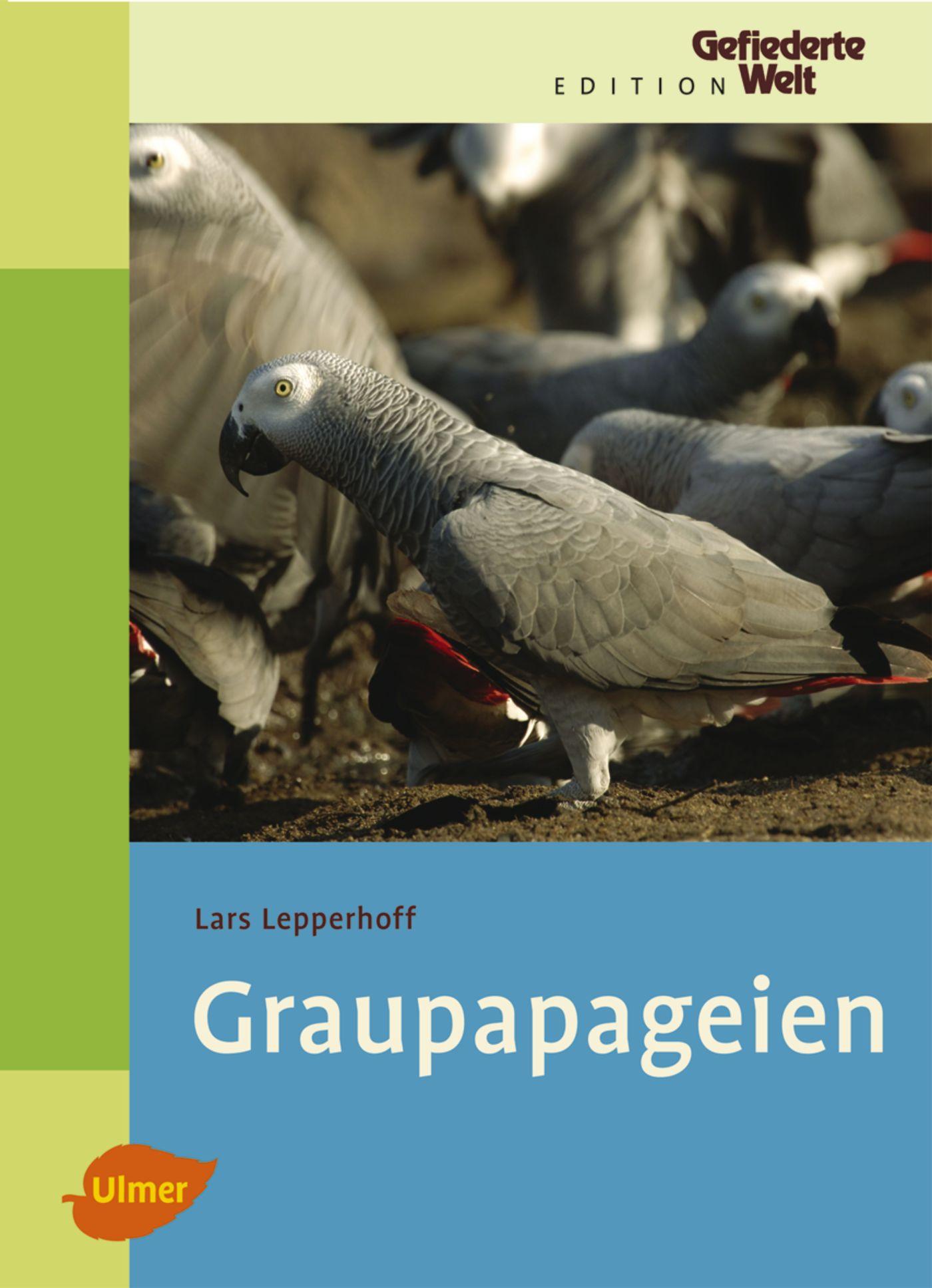 Graupapageien