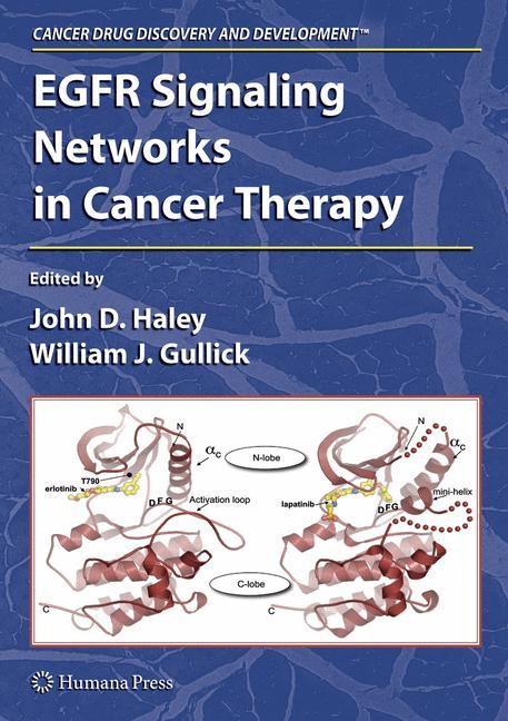 EGFR Signaling Networks in Cancer Therapy