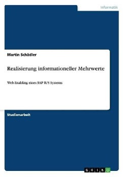 Realisierung informationeller Mehrwerte