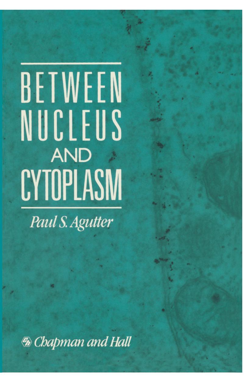 Between Nucleus and Cytoplasm