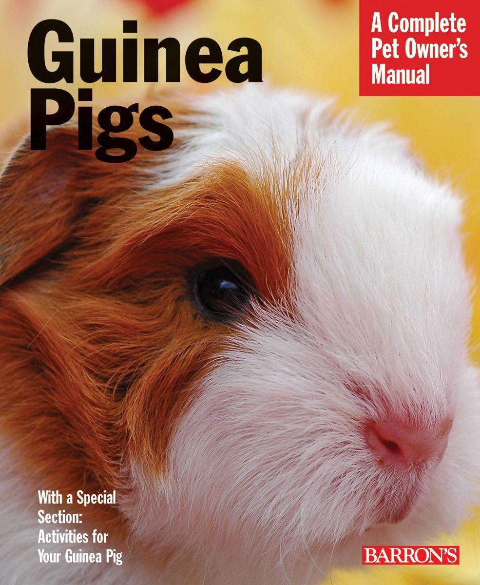 Guinea Pigs