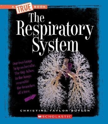 The Respiratory System (True Book: Health and the Human Body) (Library Edition)