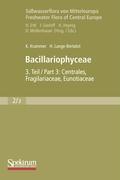 Bacillariophyceae