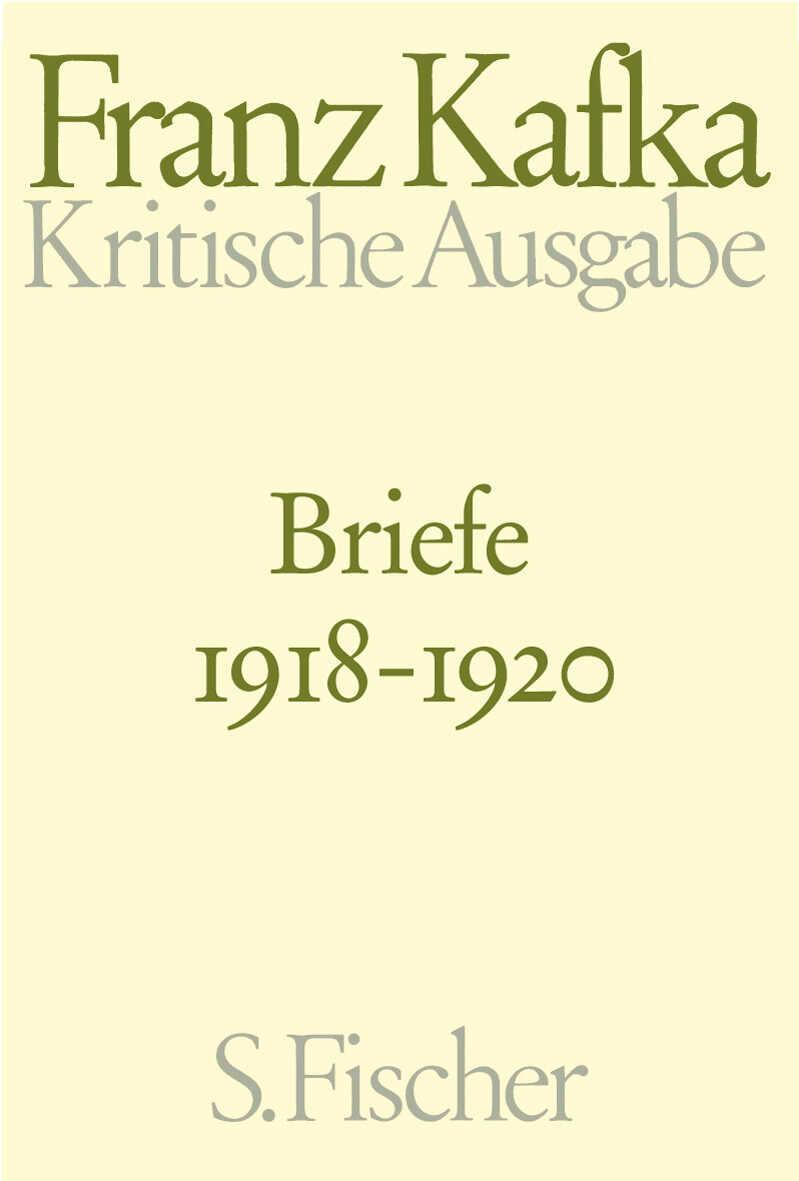 Briefe  4. 1918 - 1920