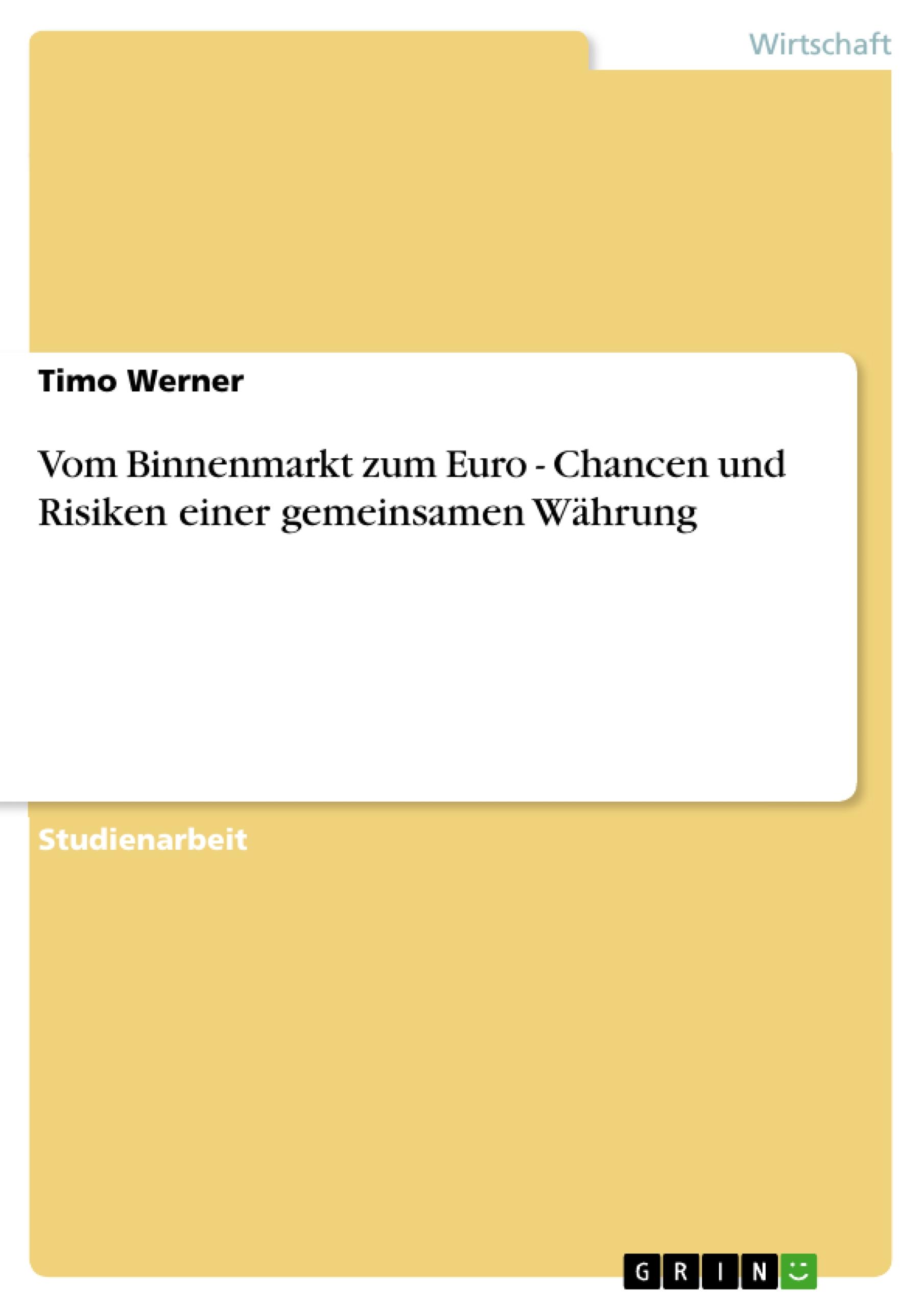 Vom Binnenmarkt zum Euro - Chancen und Risiken einer gemeinsamen Währung