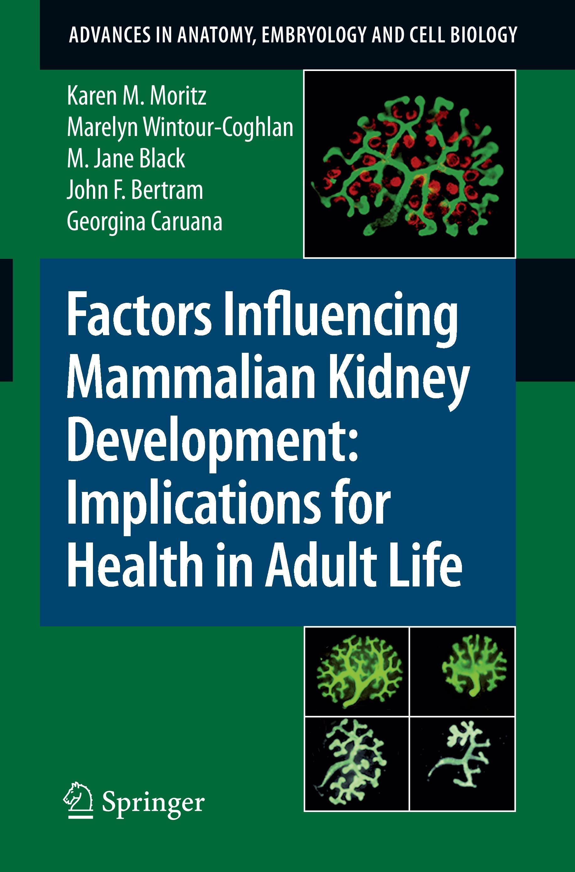 Factors Influencing Mammalian Kidney Development: Implications for Health in Adult Life