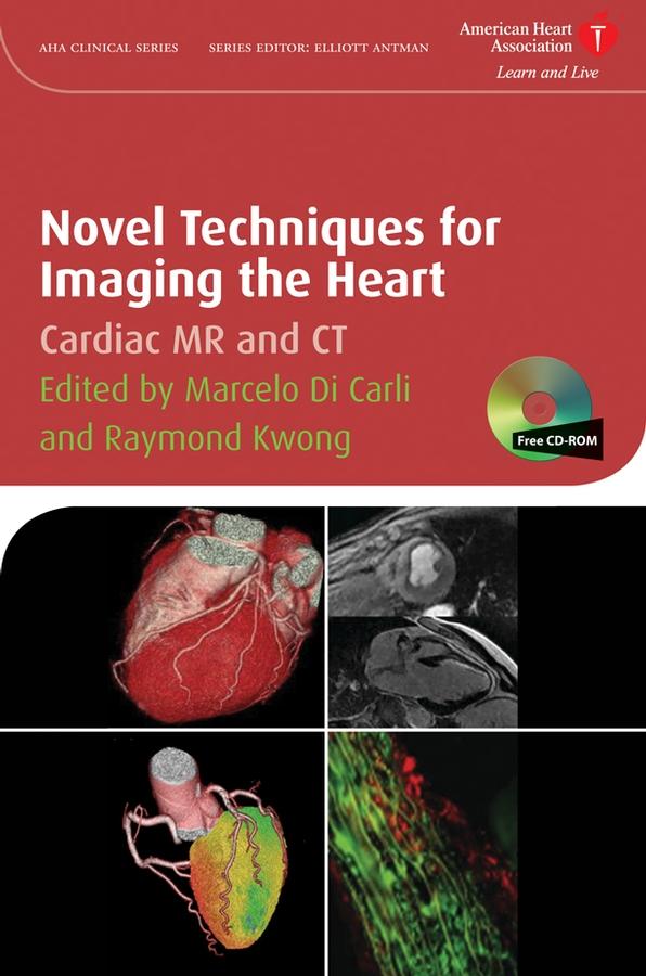 Novel Techniques for Imaging the Heart