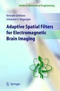 Adaptive Spatial Filters for Electromagnetic Brain Imaging