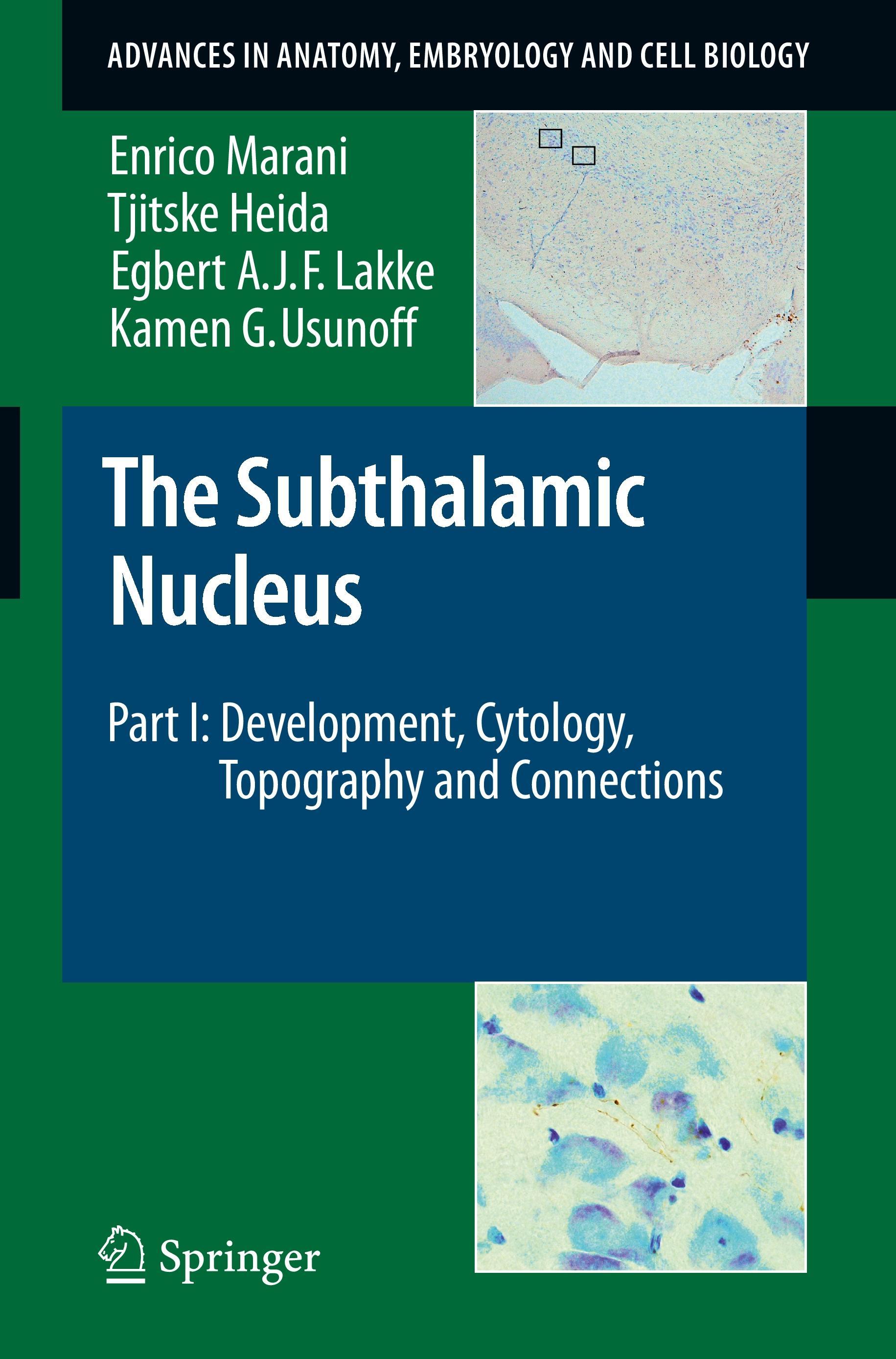 The Subthalamic Nucleus