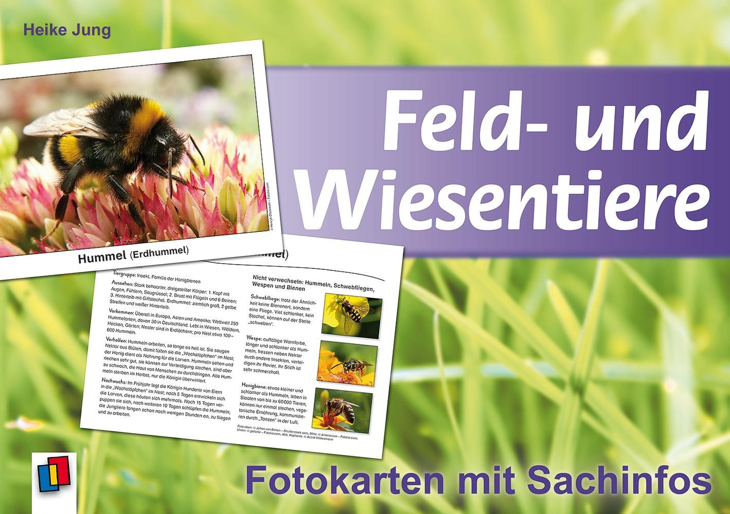 Feld- und Wiesentiere - Fotokarten mit Sachinfos