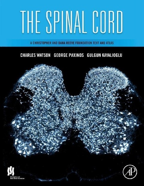 The Spinal Cord