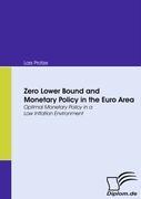 Zero Lower Bound and Monetary Policy in the Euro Area