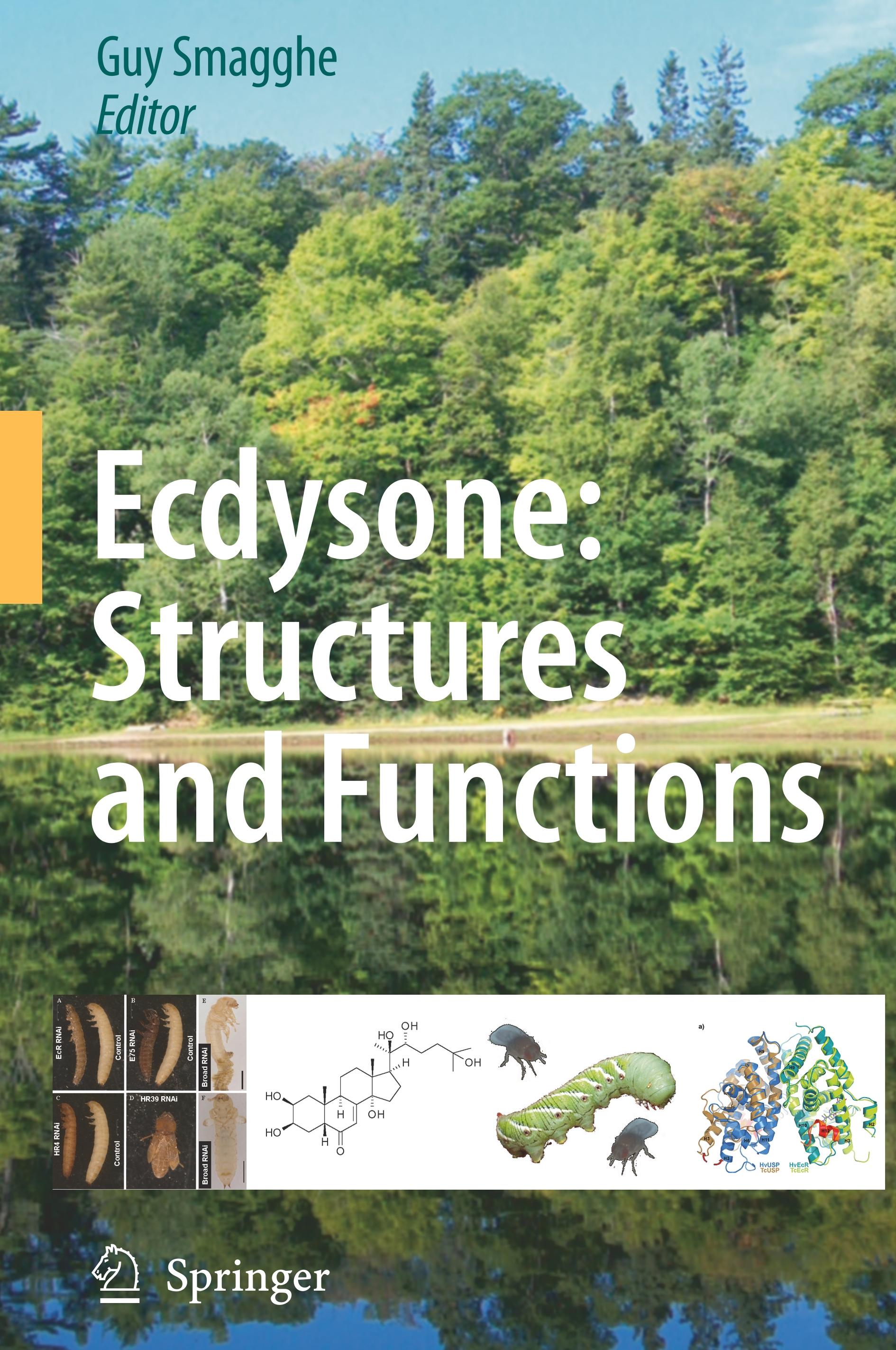 Ecdysone: Structures and Functions