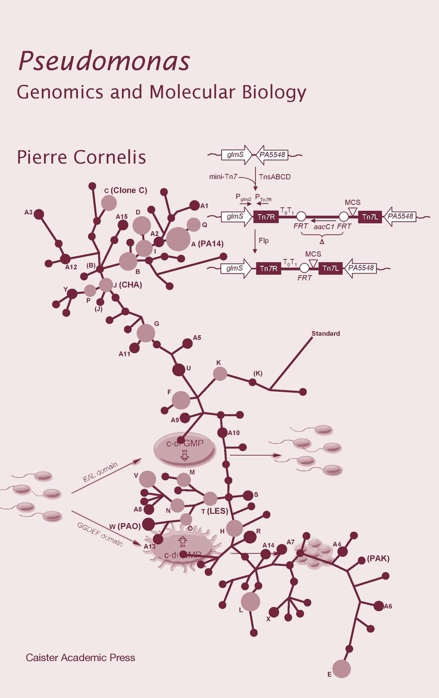 Pseudomonas