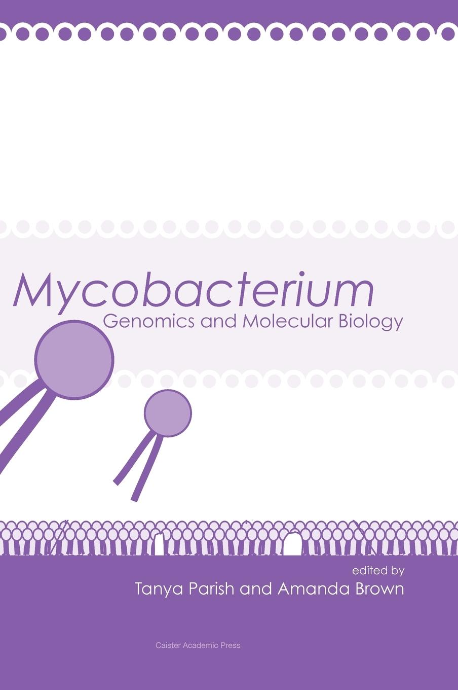 Mycobacterium