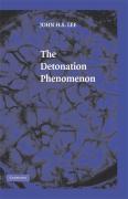 The Detonation Phenomenon