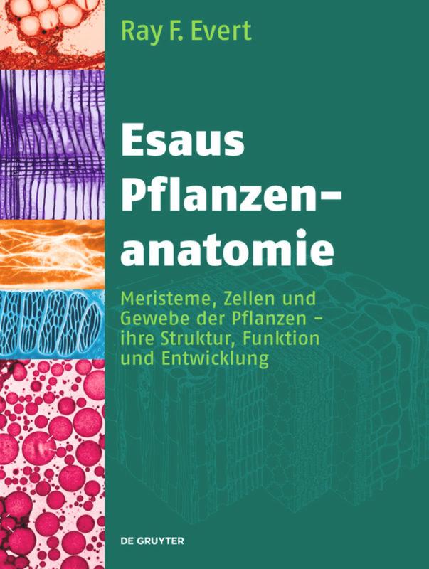 Esaus Pflanzenanatomie