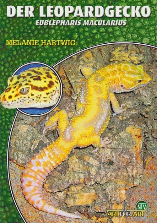 Der Leopardgecko - Eublepharis Macularius