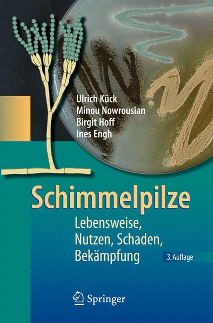 Schimmelpilze