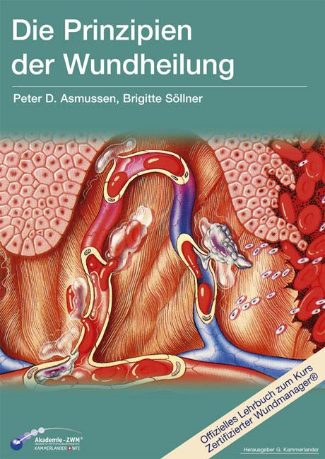 Die Prinzipien der Wundheilung