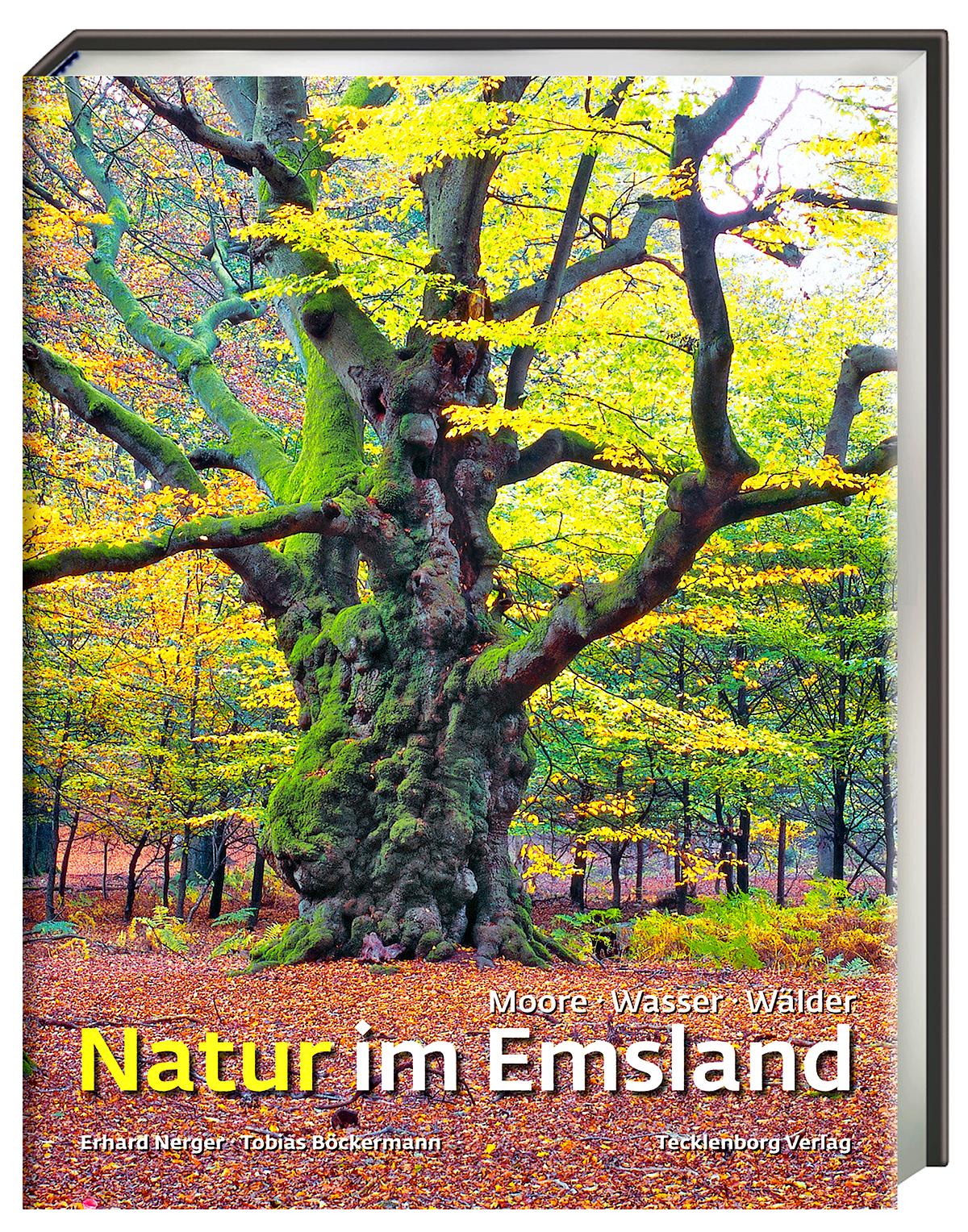 Natur im Emsland