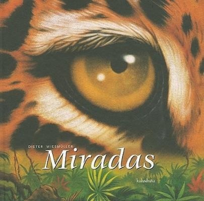 Miradas = In the Blink of an Eye