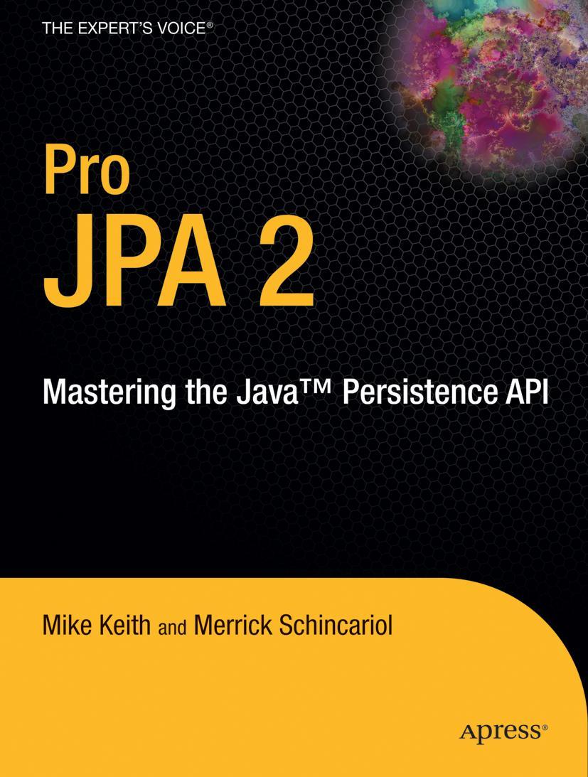 Pro JPA 2