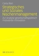 Strategisches und soziales Nischenmanagement