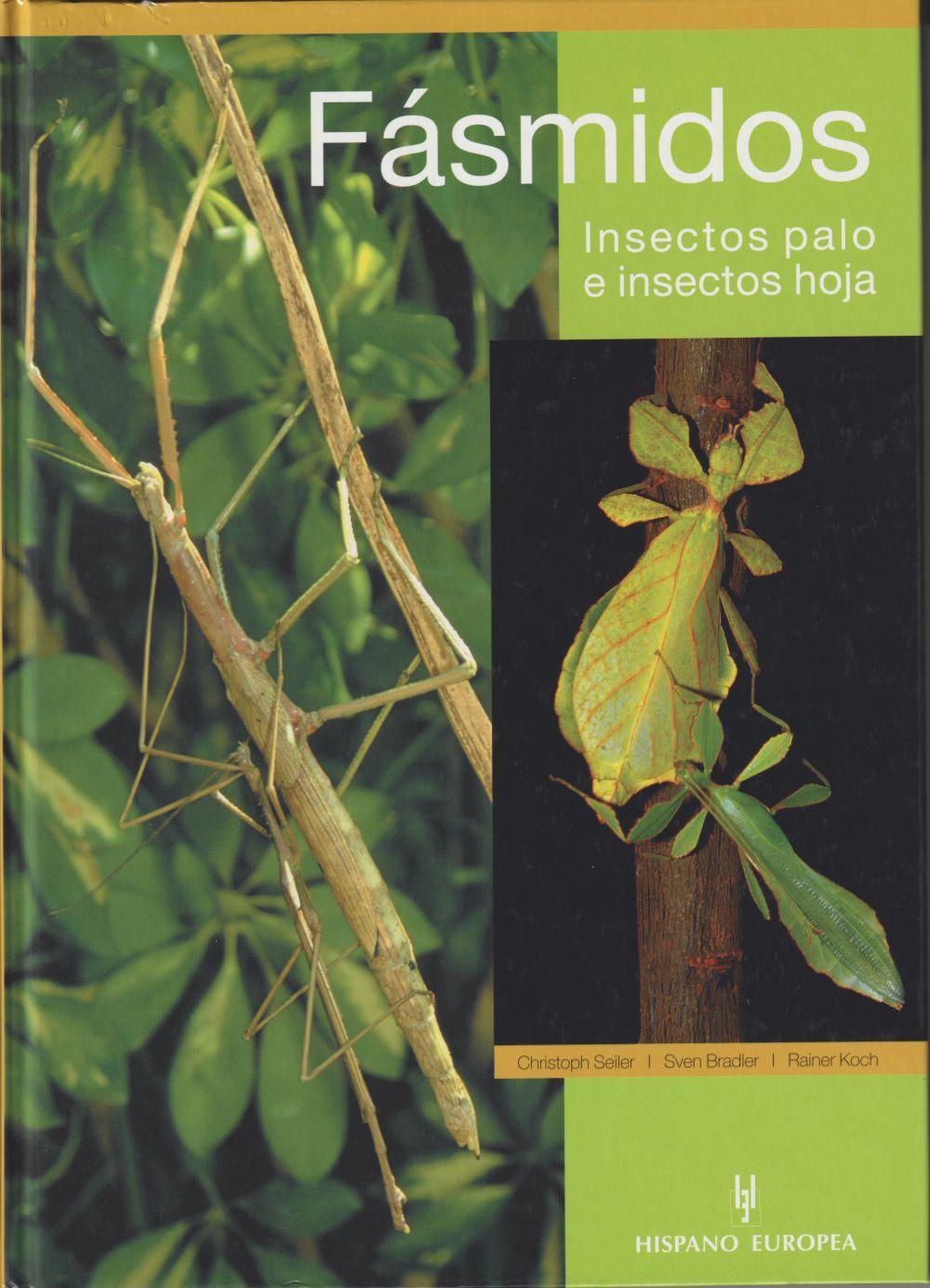 Fásmidos : insectos palo e insectos hoja