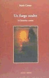 Un fuego oculto : 14 historias cortas